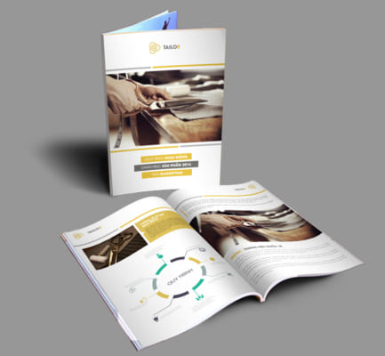 Thiết kế Brochure chuyên nghiệp giá rẻ tại BaaBrand, thiết kế profile công ty, thiết kế brochure, thiết kế catologue, thiết kế hồ sơ năng lực công ty, thiết kế hình ảnh thông tin công ty